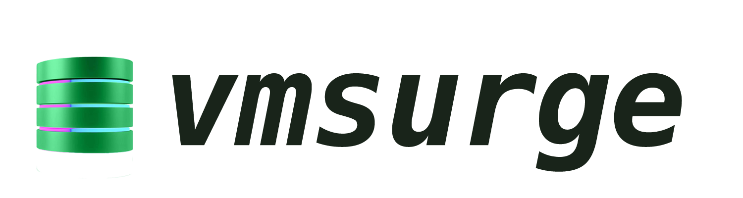 Company vmsurge